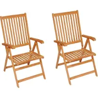 vidaXL Chaises de jardin 2 pcs avec coussins anthracite bois massif teck