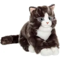 Big Buy Cooking Peluche - Toys - Chat Mimiz - 28 cm - Gris