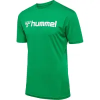 Hummel T-Shirt fonctionnel vert / blanc