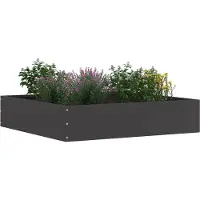 vidaXL Bordure de pelouse Noir 60 x 60 x 13 cm Acier