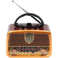 BLOW Analog radio RA10 AM/FM solar