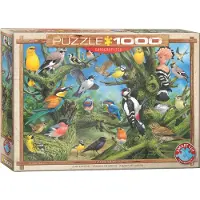 Eurographics Puzzle Joahn Francis - Garden Birds - 1000 pièces