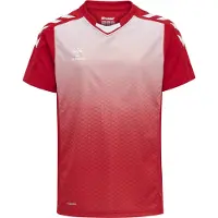 Hummel T-Shirt fonctionnel rouge / blanc