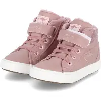 Kangaroos Baskets 'KaVu III' rose