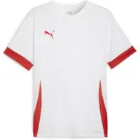 Puma T-Shirt fonctionnel 'TeamGoal Matchday' rouge / blanc