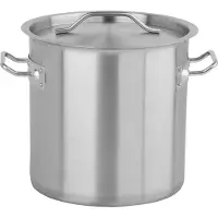 TRIZERATOP Casserole en acier inoxydable de haute qualité avec couvercle, dimensions 25 x 25 cm, capacité de 12 litres