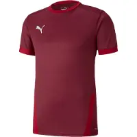 Puma Chemise Teamgoal 23 Jersey 70416007