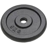 vidaXL Disques d'haltères 4 pièces 4x5 kg en fonte