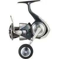Daiwa Certate G 24 Sw Spinning Reel Argenté 4000H