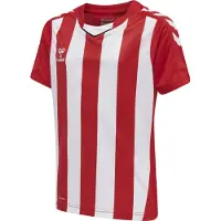 Hummel T-Shirt fonctionnel rouge / blanc