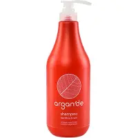 Stapiz Argan De Moist & Care Shampooing pour femmes 1000 -