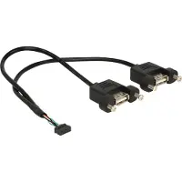 DeLOCK - Câble interne USB vers externe - connecteur USB 10 broches (F) pour USB (F) - 25 cm - noir