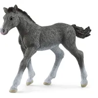 Schleich Horse Club 13944 Poulain Trakehner