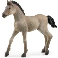 Schleich Horse Club Chevaux 2022 Jouets de chevaux r alistes pour filles et gar ons Poulain Criollo Definitivo Figurine de b b cheval 5 ans et p