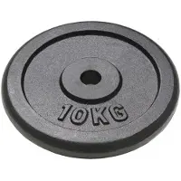 vidaXL Disques d'haltères 2 pièces 2x10 kg en fonte
