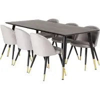 Ebuy24 Dipp180x90BLBR ensemble table, table noir et 6 Velvet chaises Velours grisclair.