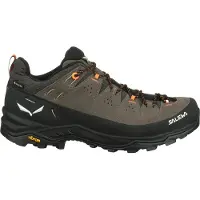 Salewa Chaussures de randonnée Alp Trainer 2 Gore-Tex