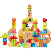 Howa blocs de construction en bois 100 pièces 6005