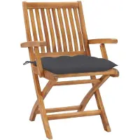 vidaXL Chaises de jardin 2 pcs avec coussins anthracite bois massif teck