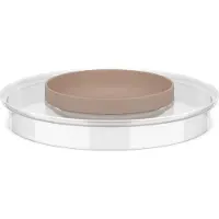 Mepal 102308531500 Deckel für Schüssel Chef It transparent, 1 St.