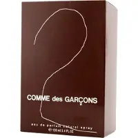 Comme des Garcons 2 EDP 100 ml, parfum unisexe
