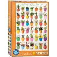 Eurographics Puzzle Cactus et plantes succulentes 1000 pièces