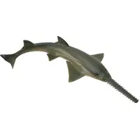 Collecta scie requin 88659 86596