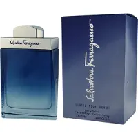 Salvatore Ferragamo Subtil Pour Homme Eau de Toilette pour homme 100 ml -