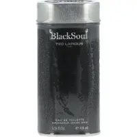 Ted Lapidus Black Soul Eau de Toilette pour homme 100 ml