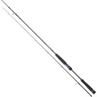 Daiwa Labrax Seabass Canne à lancer argent 3.05 m / 14-56 g argent 3.05 m