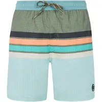 Protest Avik Swimming Shorts Vert XS Homme