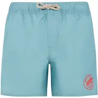Protest York Swimming Shorts Bleu 152 cm Garçon