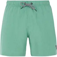 Protest Davey Swimming Shorts Vert L Homme