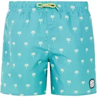 Protest Steven Swimming Shorts Vert,Bleu 128 cm Garçons