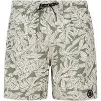 Protest Colney Swimming Shorts Vert 104 cm Garçon