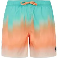 Protest Bowery Swimming Shorts Multicolore S Homme