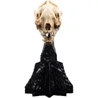 Weta Workshop Lord Of The Rings Mini Skull Of A Warg 20 Cm Figure Noir