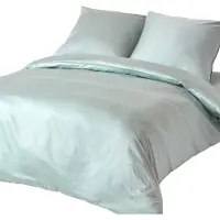 Homescapes Bio linge de lit duck egg blue, 240 x 220 cm