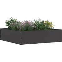 vidaXL Bordure de pelouse Noir 50 x 50 x 13 cm Acier