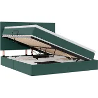 vidaXL Lit coffre à LED avec matelas, vert foncé, 180 x 200 cm, velours