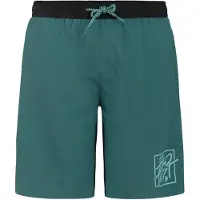 Protest Garrix Swimming Shorts Vert,Bleu 128 cm Garçon