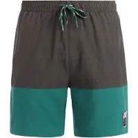 Protest Cabus Swimming Shorts Gris M Homme