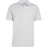 Adidas T-Shirt fonctionnel 'Entrada26' gris clair / blanc