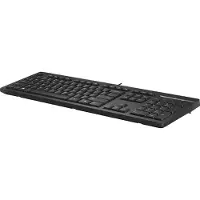 HP 125 Wired Keyboard clavier USB Noir