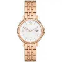 Skagen Montre Femme Skagen SIGNATUR LILLE (Ø 34 mm)