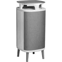 BlueAir DustMagnet 5240i Gris