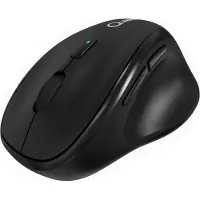 Qware Souris Sans Fil Lincoln Noir (qw Pcm-240bl)