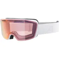 Alpina Masque de ski