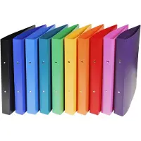 Exacompta Ringbuch (A4 MAXI, 1 pcs)