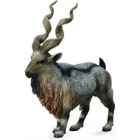 Collecta Screwhorn chèvre - (L)